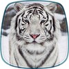 Tigre Blanc Fond décran Animé icon
