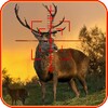 Deer Hunting Quest 3D icon