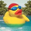 Icône Rubber Duck
