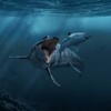 Mosasaurus Simulator icon