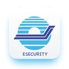 e-Security icon