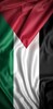 palestine wallpaper icon