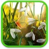 Spring Live Wallpaper आइकन