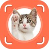 أيقونة Cat Identifier