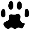 Icon von PAW Server