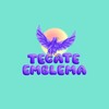 TECATE EMBLEMA icon