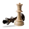 Icono de GNU Chess