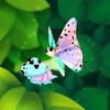 ไอคอน Flutter: Butterfly Sanctuary
