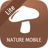iKnow Mushrooms 2 LITE icon