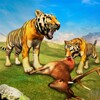 Tiger Simulator Lion games 3D icon