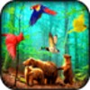 Forest Birds icon