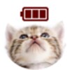 Cat Battery icon