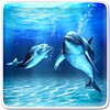 Sea Dolphin Live Wallpaper icon