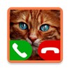 Fake Call Cat icon