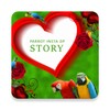Icono de Parrot Insta DP Story