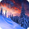 Winter Wallpapers 4K icon