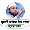 Icono de মুফতী আরিফ বিন হাবিব