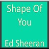 Shape Of You Ed Sheeran Lyrics icon