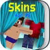 Icône Skins PE