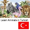 Learn Animals in Turkish icon