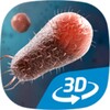 Bacteria interactive educational VR 3D icon