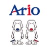 Ario icon