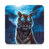 Animal Live Wallpaper 4K icon