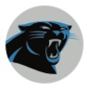 Panthers icon
