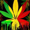 Rasta Wallpaper icon