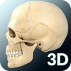 Skull Anatomy Pro. icon