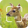 TrailCam Go icon