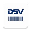 DSV Driver icon