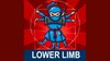 Biểu tượng 9. AnatomyNinja