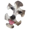 Puppies Puzzle HD icon