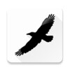 Magpie Swoops icon