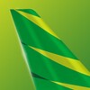 Citilink icon