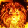 Fire Lion Wallpaper + Keyboard simgesi