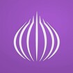 TOR Browser: OrNET Onion + VPN feature