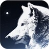 Wolf Wallpaper icon