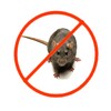 أيقونة Rats Repeller v2.0