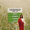 Daily Bible Trivia Bible Gamesアイコン