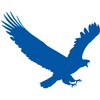 EagleGet icon