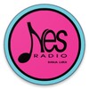 Nes radio icon