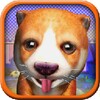 Pet Dog: World Best Doggy icon