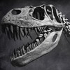 Dinosaur Assassin: Evolution icon