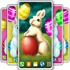 Easter Rabbit Live Wallpaper icon