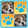 Dogs Memory Matching Pairs Game - Brain Training icon