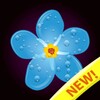 Flower Color By Number icon