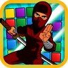 Puzzle Ninja icon