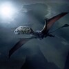 Dimorphodon Simulator icon